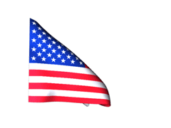 https://www.randynliza.com/images/USA.gif
